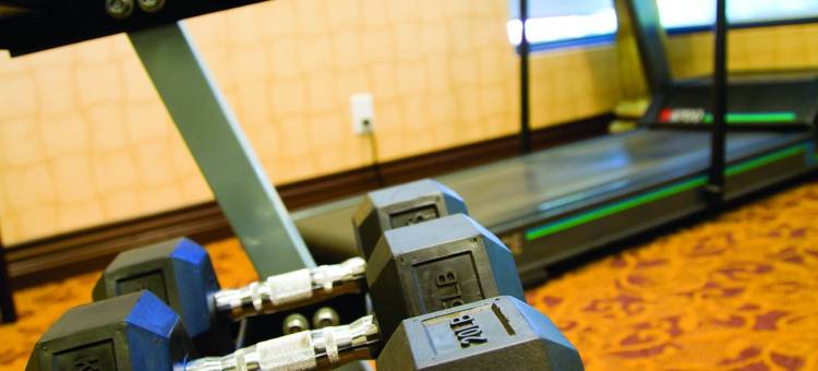 Sonder西区日落酒店(The Sunset Hotel West End, Sonder)图片