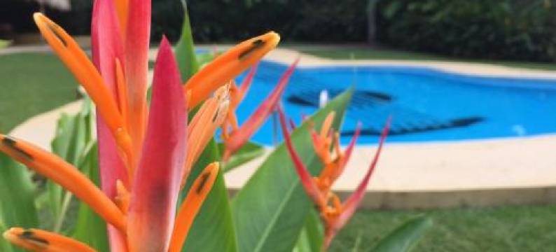 Arcadia Cabañas Vacacionales图片