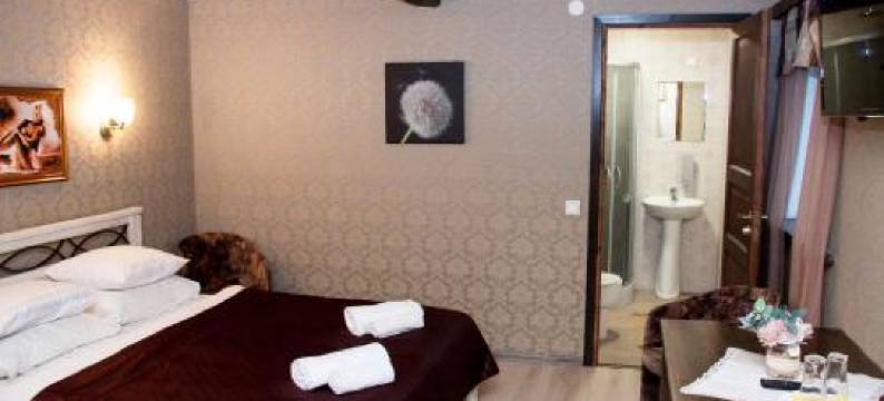 汉萨尔酒店(Hämsa Maheresto & Heaolukeskus)图片