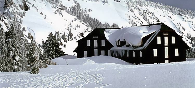 奥林匹克贝斯特韦斯特优质酒店(Best Western Plus Olympic Inn)图片