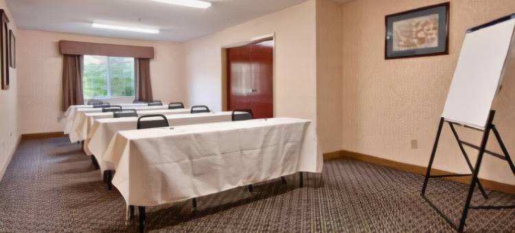 伯克希尔山贝斯特韦斯特优质套房酒店(Best Western Plus Berkshire Hills Inn  Suites)图片