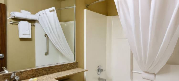 康威温德姆麦客达套房酒店(Microtel Inn & Suites by Wyndham Conway)图片