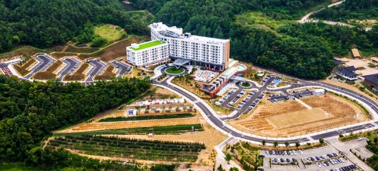 青松索诺美丽酒店(Sono Belle Cheongsong)图片