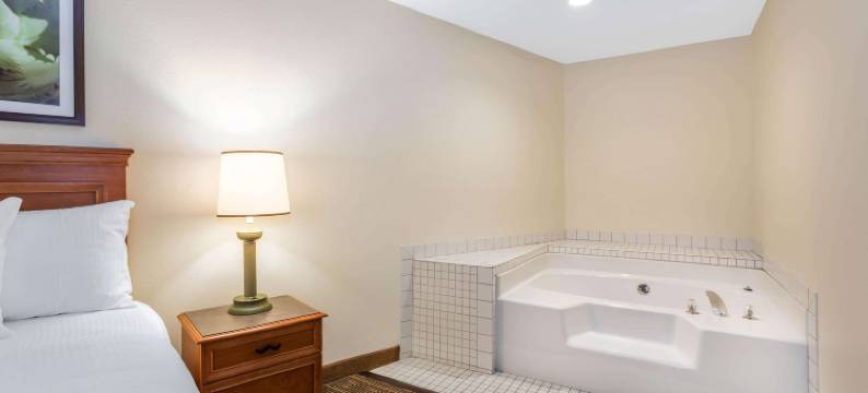 奥兰多南呗盟酒店(Baymont by Wyndham Orlando South)图片