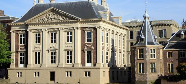 祖特尔梅尔-海牙金色郁金香酒店(Golden Tulip Zoetermeer - Den Haag)图片