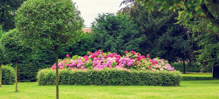 达拉斯湖贝斯特韦斯特优质套房酒店(Best Western Plus Lake Dallas Inn  Suites)图片