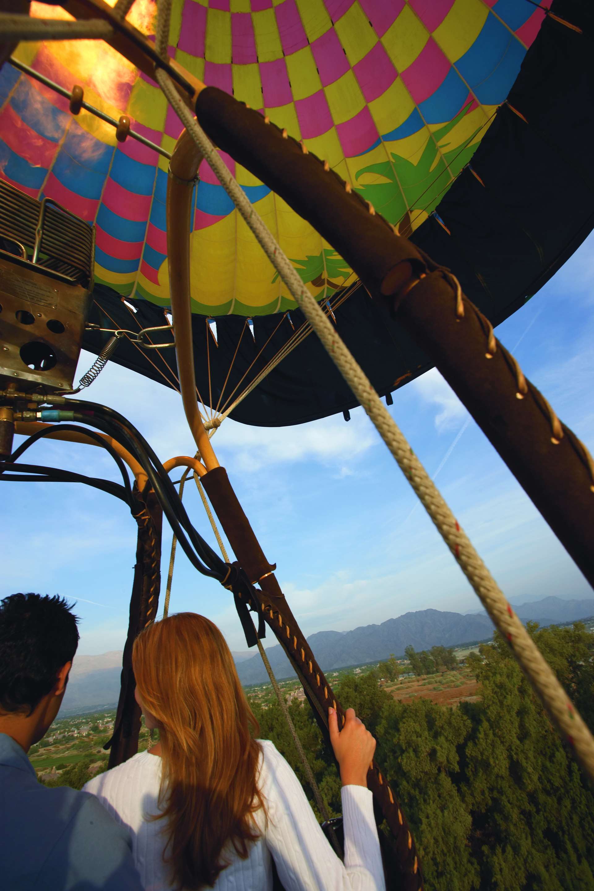 The Westin Desert Willow Villas, Palm Desert Over view