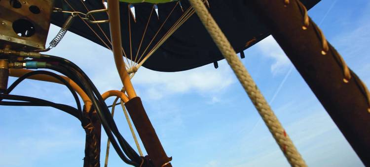 棕榈沙漠威斯汀沙漠柳树别墅(The Westin Desert Willow Villas, Palm Desert)图片