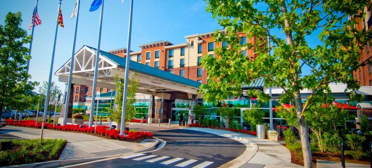 洛克维尔盖瑟斯堡Homewood Suites by Hilton(Homewood Suites by Hilton Rockville- Gaithersburg)图片