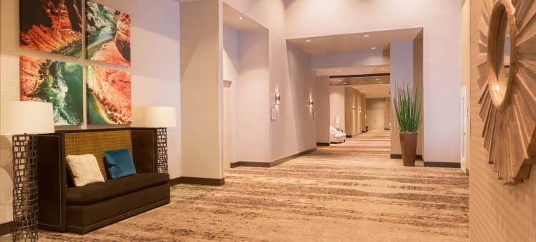 迈措沃利戈维尔西喜来登酒店(Sheraton Mesa Hotel at Wrigleyville West)图片