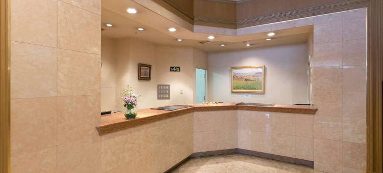 燕三条华盛顿酒店(Tsubamesanjo Washington Hotel)图片