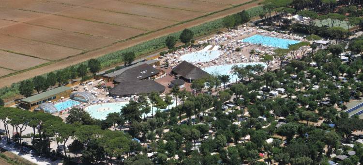胡公园信天翁村(hu Park Albatros Village)图片