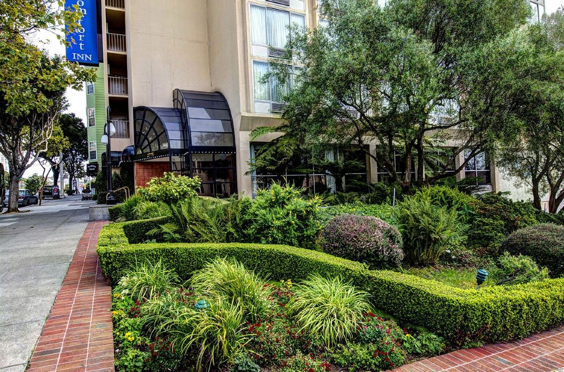Comfort Inn By The Bay Hotel San Francisco Hotel Reviews And Room