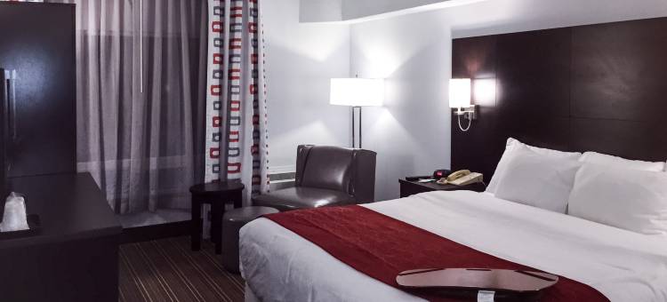 利明顿品质酒店(Quality Inn)图片