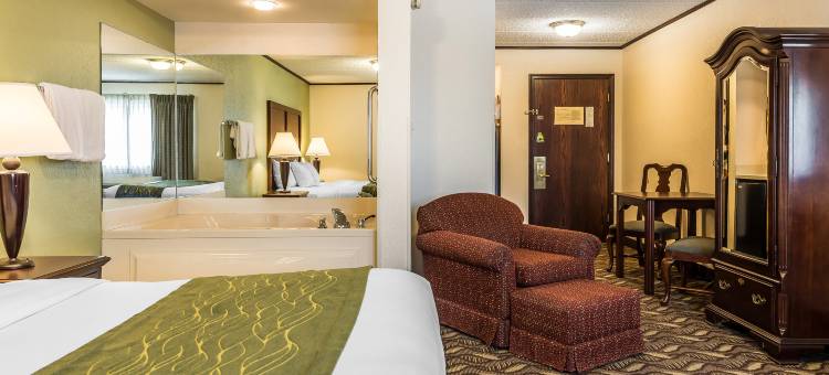 凯艺套房酒店(Quality Inn & Suites)图片