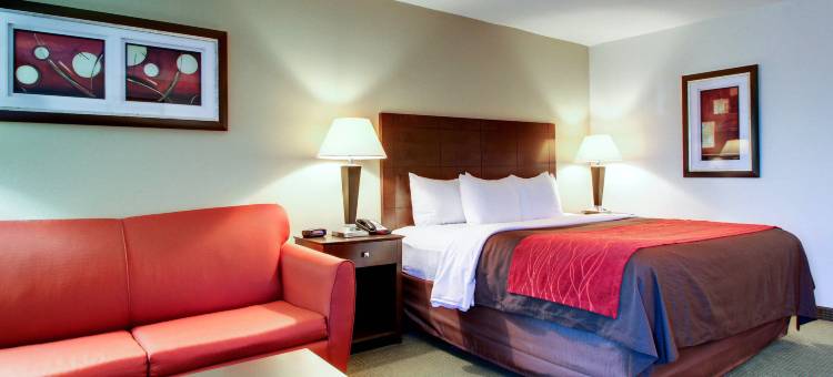 莫斯波因特帕斯卡古拉舒适酒店(Comfort Inn Moss Point Pascagoula)图片