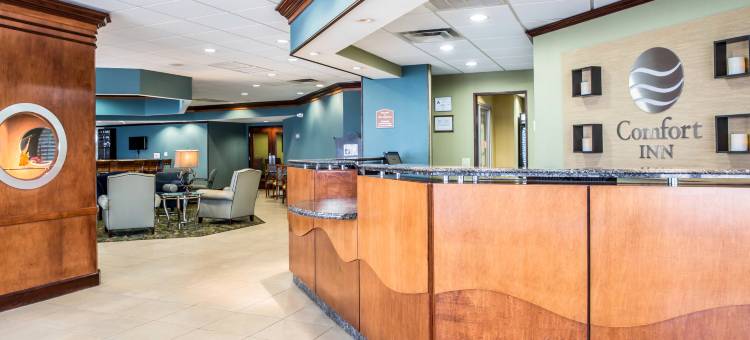 海滨舒适酒店(Comfort Inn on the Ocean)图片