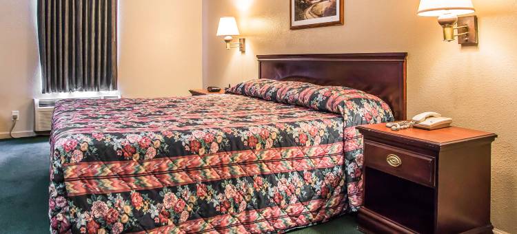 伊康套房旅馆(Econo Lodge Inn & Suites)图片