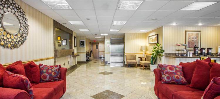 舒适酒店(Comfort Inn)图片