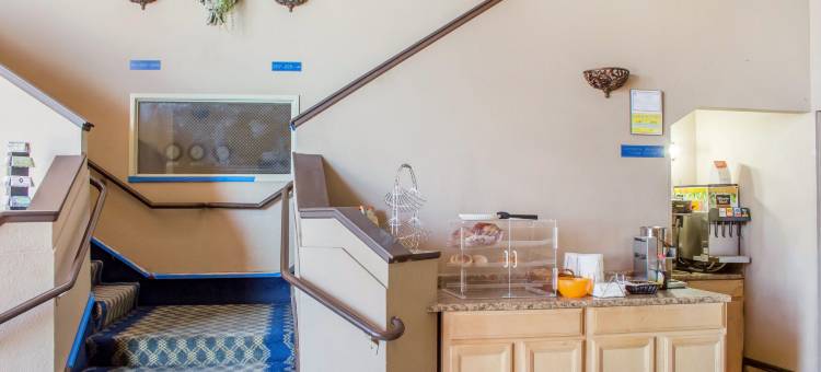 哈瓦苏湖城罗德威套房旅馆(Rodeway Inn & Suites)图片