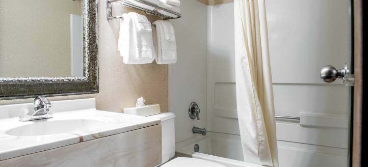 凯艺酒店(Quality Inn)图片