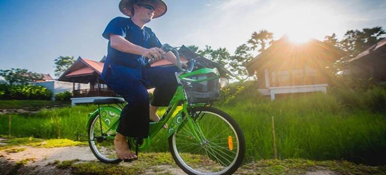 苏梅岛农夫精品度假村(Farmers Villa)图片
