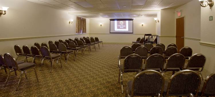 舒适套房酒店-千岛海港区(Comfort Inn & Suites Thousand Islands Harbour District)图片