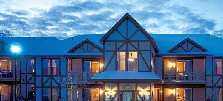 博因山度假村(Mountain Run at Boyne)图片