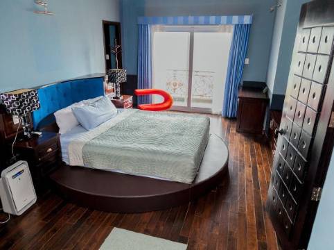 胡志伊甸園洛和酒店