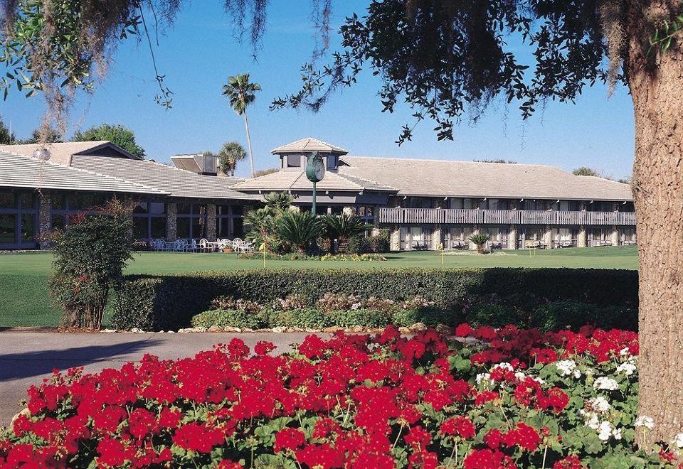 Arnold Palmer's Bay Hill Club & Lodge Over view