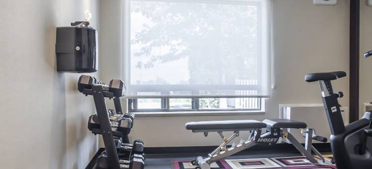 舒适酒店(Comfort Inn)图片