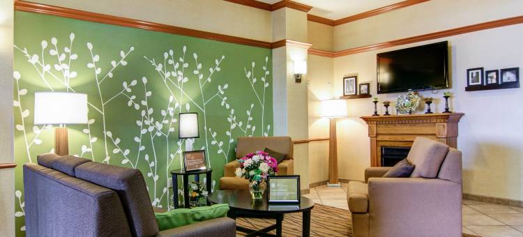 斯托克顿堡希尔顿Spark酒店(Spark by Hilton Fort Stockton)图片