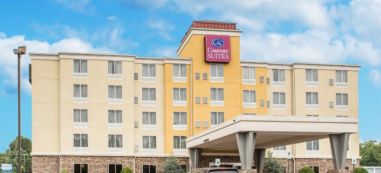 北诺克斯维尔舒适套房酒店(Comfort Suites North)图片