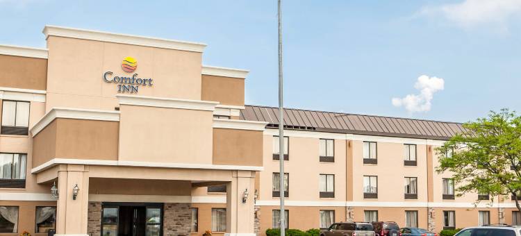 近I-57波旁舒适酒店(Comfort Inn Bourbonnais Near I-57)图片