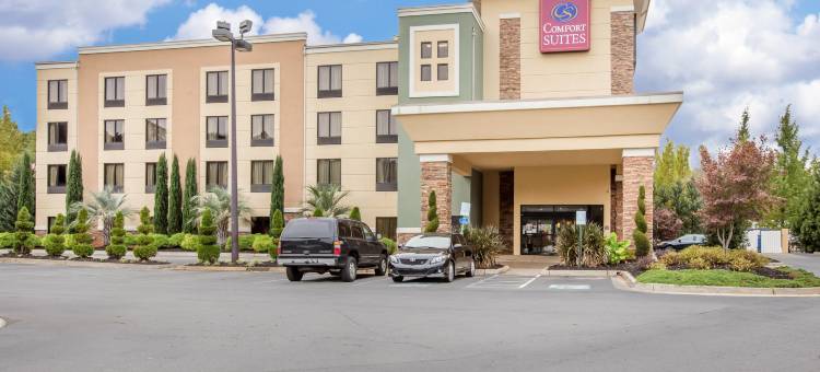 洛克斯特格罗夫亚特兰大南舒适全套房酒店(Comfort Suites Locust Grove Atlanta South)图片