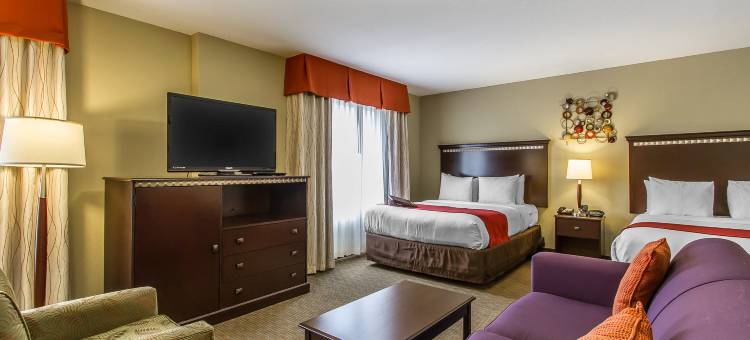 舒适套房酒店-乌尔班纳香槟大学城(Comfort Suites Urbana Champaign, University Area)图片
