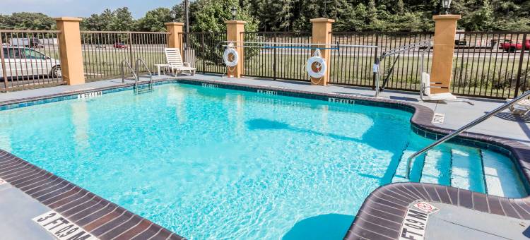 佩尔城靠近洛根马丁湖的康福特套房(Comfort Suites Pell City Near Logan Martin Lake)图片