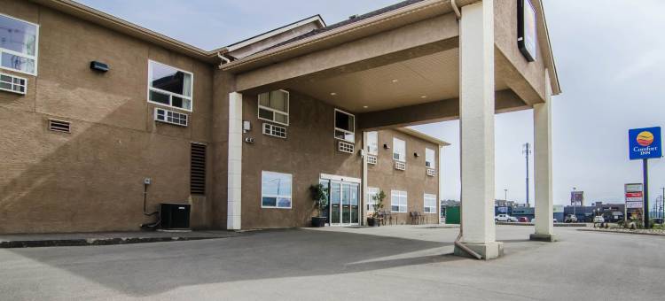 舒适酒店(Comfort Inn)图片