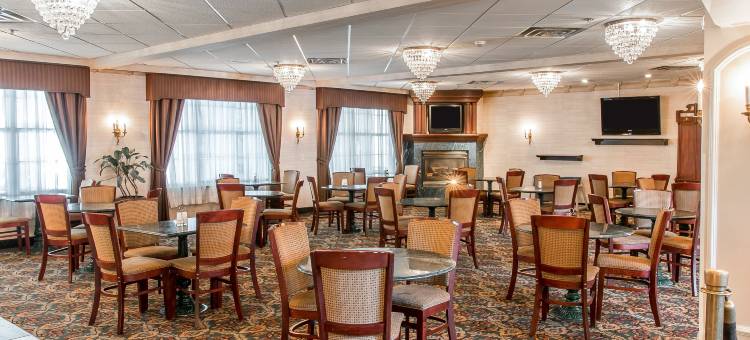 艾伦帕克/迪尔伯恩舒适套房酒店(Comfort Inn & Suites Allen Park - Dearborn)图片