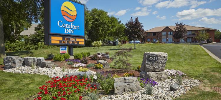 舒适酒店(Comfort Inn)图片