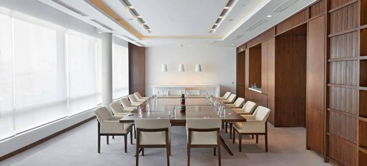 德里安达仕酒店(ANDAZ DELHI, BY HYATT)图片