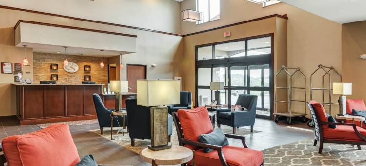 舒适套房酒店-桥港市克拉克斯堡(Comfort Suites Bridgeport - Clarksburg)图片
