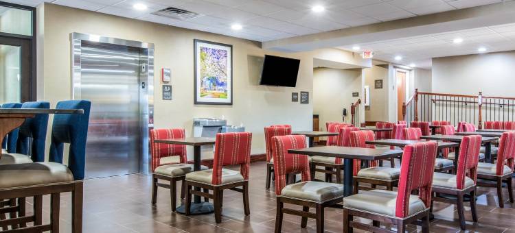 梅肯西舒适套房酒店(Comfort Inn & Suites Macon West)图片