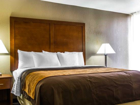 Comfort Inn Suites Memphis Hotel Reviews And Room Rates Trip Com
