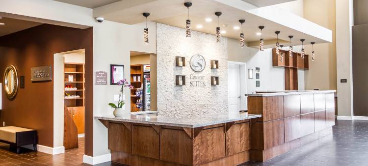 伍德兰德舒适套房酒店- 萨克拉门托机场(Comfort Suites Woodland - Sacramento Airport)图片