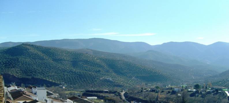 旧金山豪斯比迪拉酒店(Hotel Hospederia San Francisco)图片