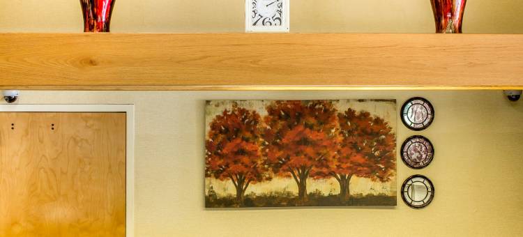 罗利北凯艺套房酒店(Quality Inn & Suites Raleigh North Raleigh)图片