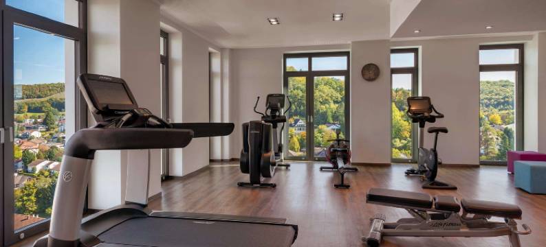 罗拉赫城市酒店(Hotel Stadt Lörrach)图片