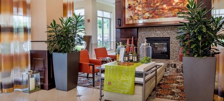 圣路易斯机场希尔顿花园酒店(Hilton Garden Inn St. Louis Airport)图片
