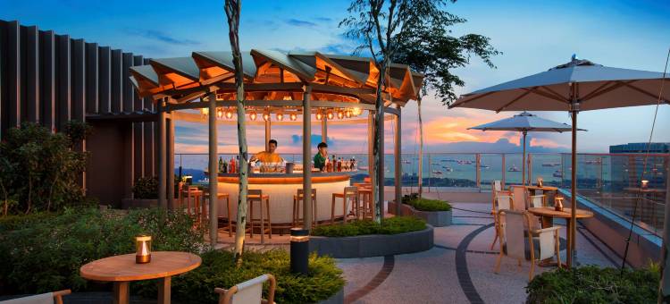 新加坡安达仕酒店(ANDAZ SINGAPORE, BY HYATT)图片